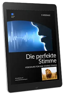 Kurscover Die perfekte Stimme
